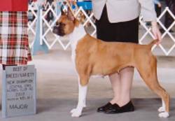 CH.Kali 3rd major win